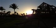 Fun At Sunset