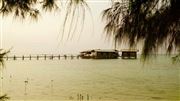 Beach House
