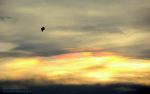 Dark Kite In Sunset