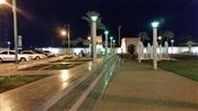 Beauty Of Alain