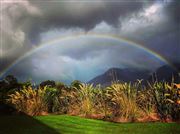 Beauty Of Nature