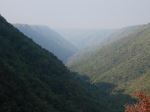 Beauty Of Nature