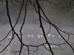 Misty Lake