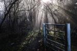 The Blue Gate