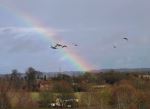 Winter Rainbow