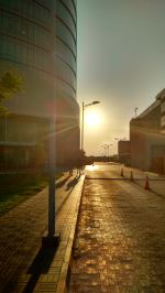 Leaving Time For (Sun) (Employee)