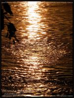 Beautiful Lake On A Great Evening