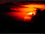 Sun Set