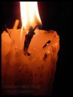 Candle Flame 