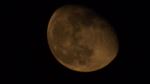 Moon Light
