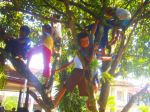 Children In A Tree