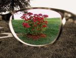 One Spot Color