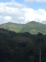 Dominican Mountains