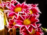 Glowing Flowers