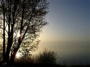 Awakened By Nightingale