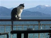 Banister With A View