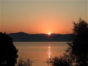 Best Show In Universe!