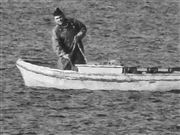 Bread Of Nine Crusts 2