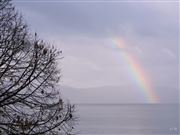 Breaking The Monotone