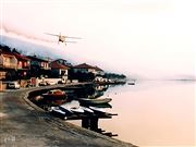 Death To Mosquitoes!