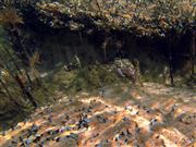 Hernando's Hideaway 2