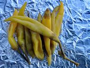 Hot Peppers Looking Cool