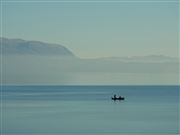 If Wishes Were Fishes 1