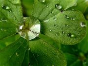 Jewels Of Universe