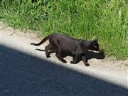 On The Sunny Side Of The Street