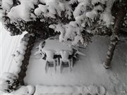 One Blink In January