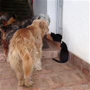 Patience - Door Will Open 