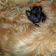 Place To Sleep