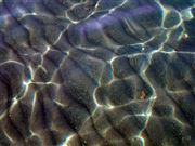 Ripply
