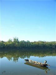 River Morning