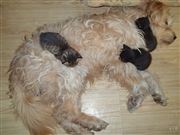 Safe And Warm 2