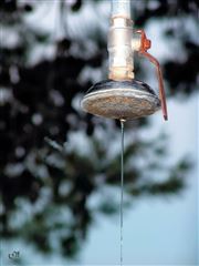 Shower To The People!