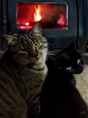 Warmth Addicts