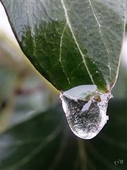 Water Bauble