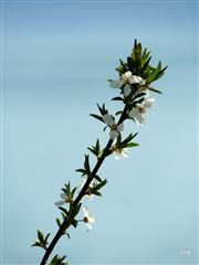 Winter, What Winter?