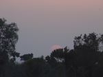 Nostalgic Sunset