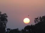 Sunset Of My Village