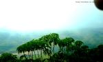Mountain In Clouds