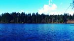 The Lost Lagoon 