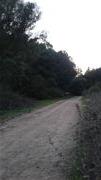My Way !