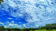 Green Under The Blue!!!!