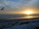 Sunset In Florida