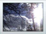 A Cold Winters Day
