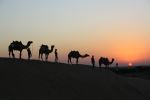 Desert Sunset