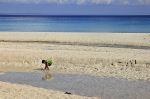 Sandbar