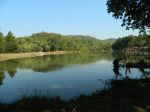 Tranquil Nature